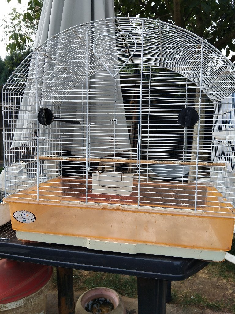 Cage a vendre, Animaux & Accessoires, Enlèvement, Utilisé, Métal, Cage à oiseaux