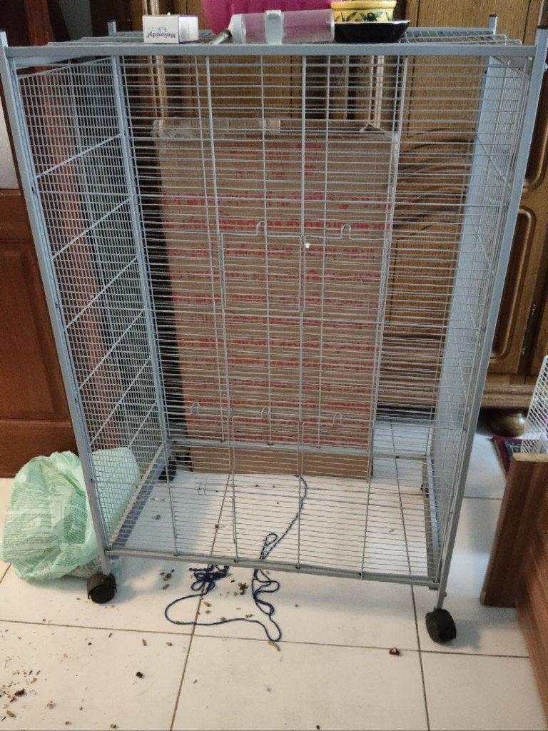 grote ratten kooi, Animaux & Accessoires, Rongeurs & Lapins | Cages & Clapiers, 90 cm ou plus, Cage, Utilisé, Écureuil