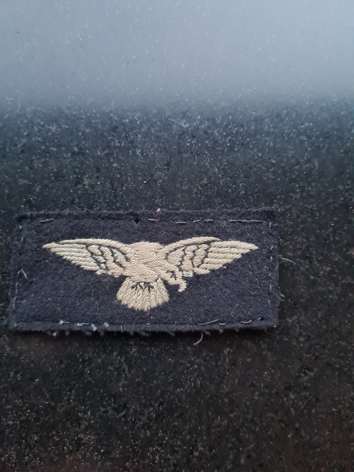 albatross' of mouw-adelaar RAF ww2, Ophalen