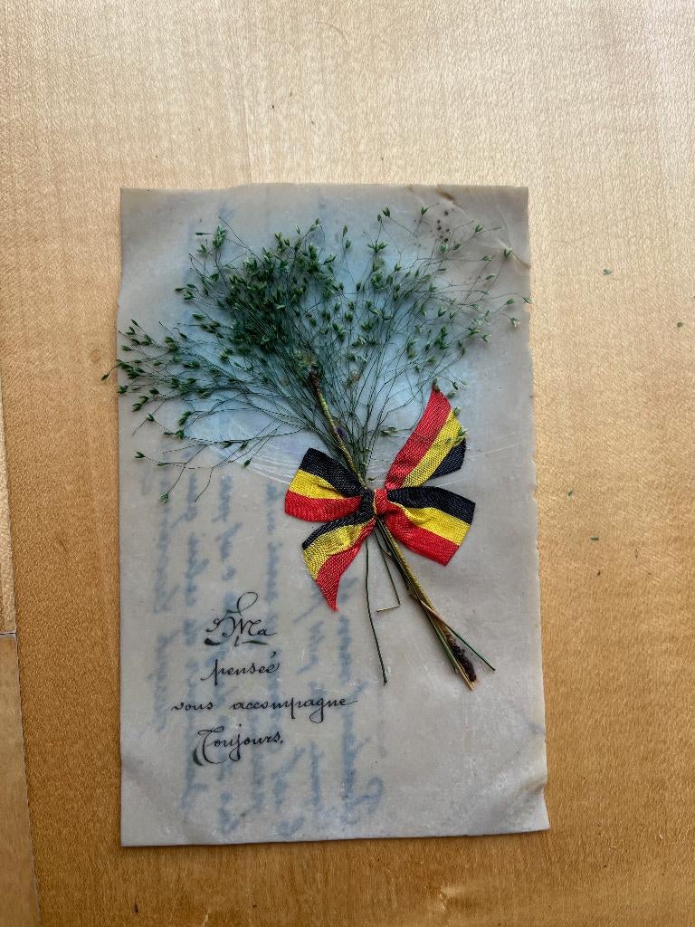 fantasiekaart "ma pensée vous accompagne toujours", Verzenden, Voor 1920, Overige thema's