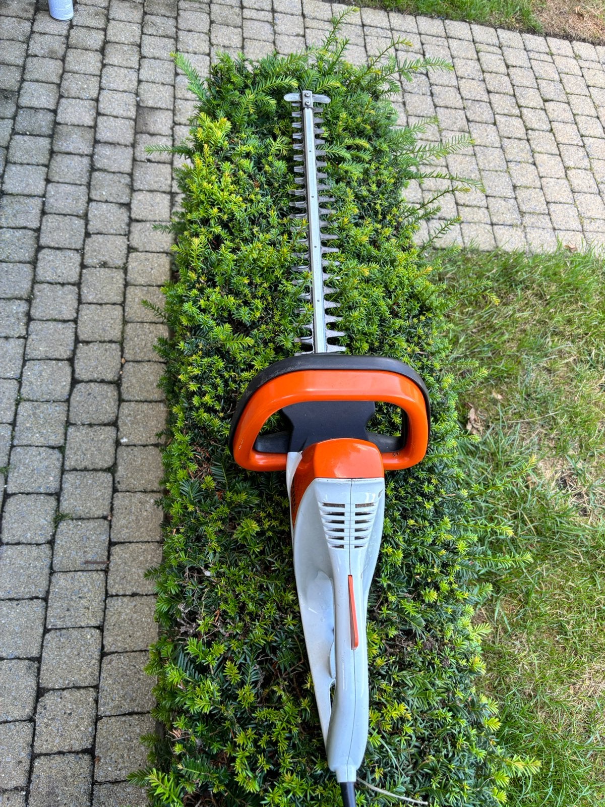 Hageschaar Stihl 55 cm, Ophalen, Gebruikt, Elektrisch