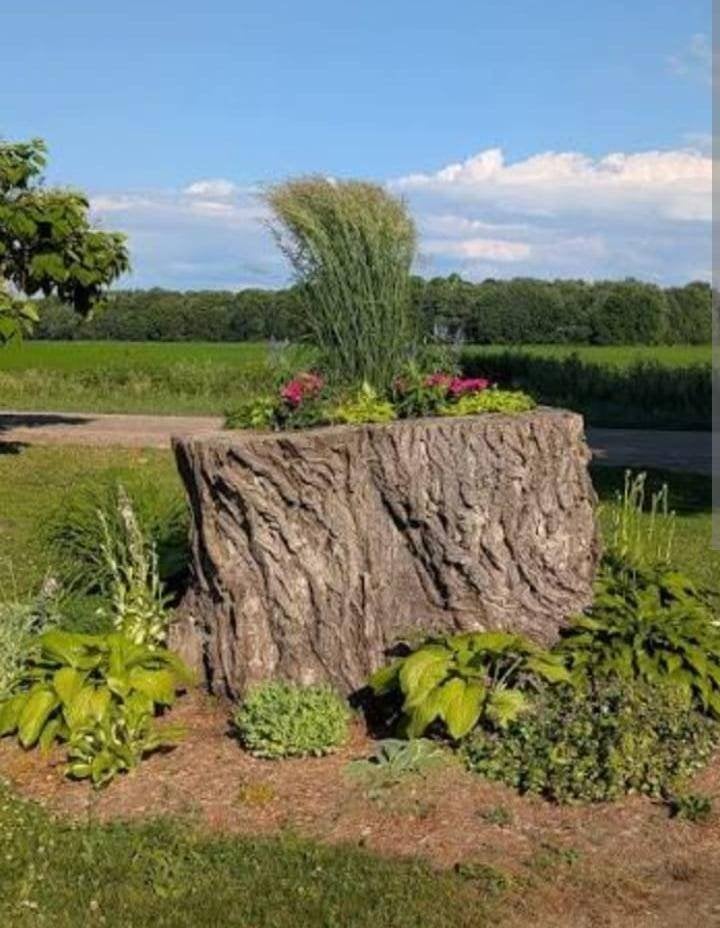 Gezocht: blok wilg of beuk, Tuin en Terras, Brandhout, Ophalen