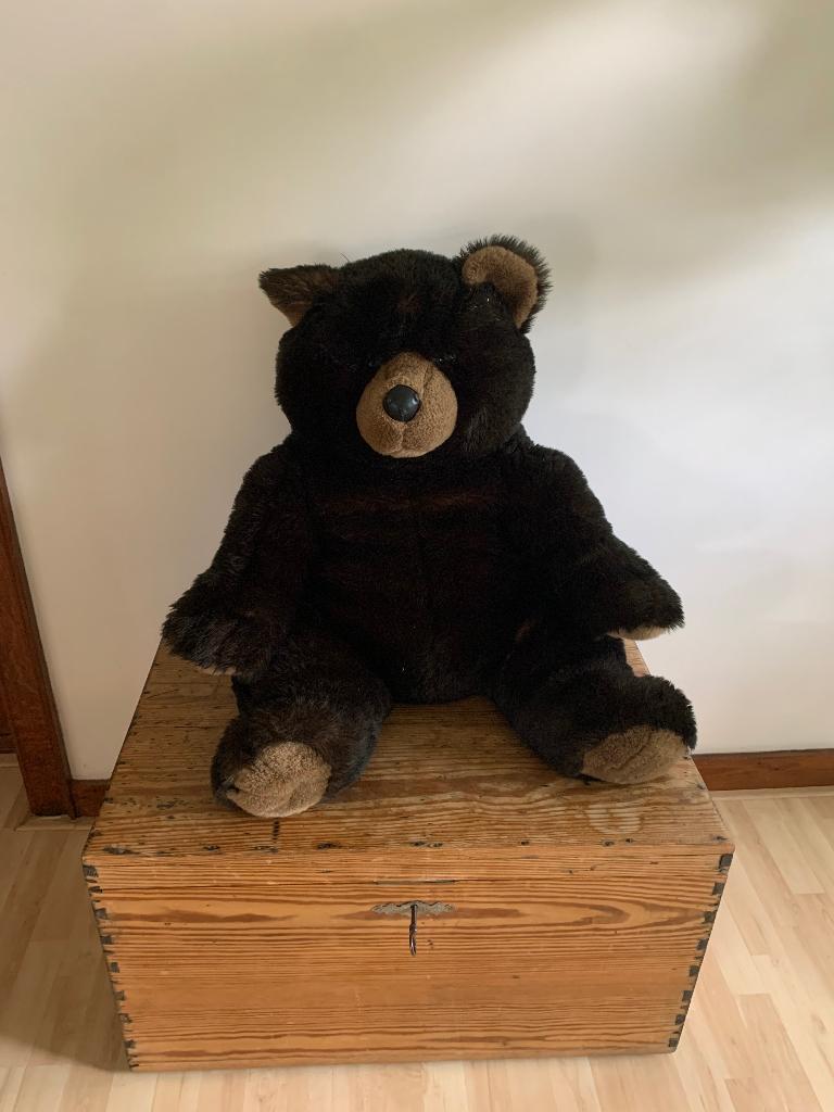 Gratis grote beren knuffel, Ophalen, Gebruikt, Bruin, Beer