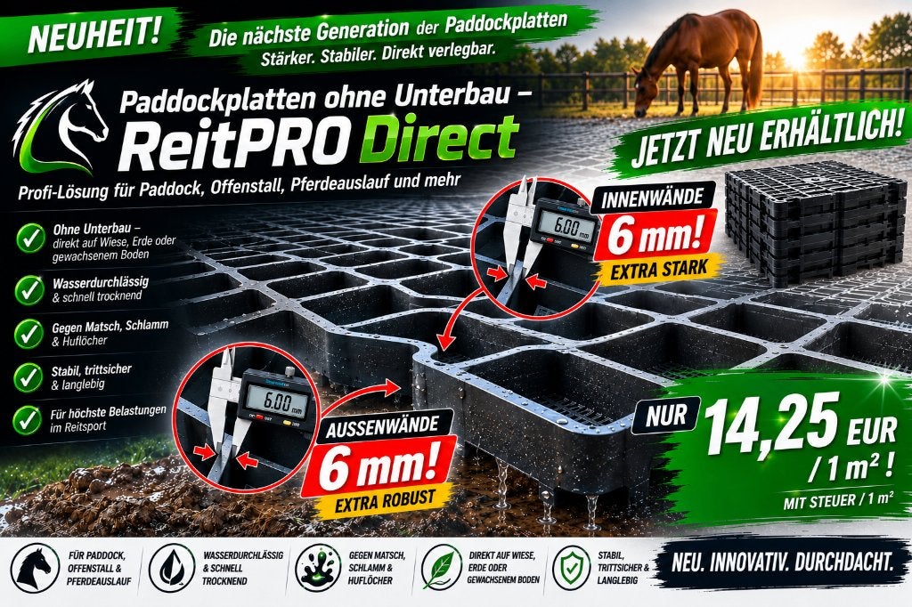 Paddockplaten voor paarden | Grasroosters en Weideplaten, Dieren en Toebehoren, Opfok