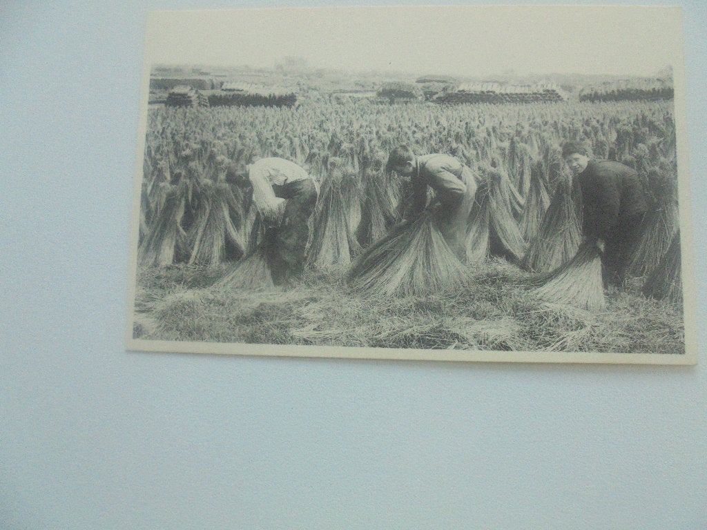 vlasteelt- keren van de kapellen, Verzamelen, Postkaarten | België, Verzenden, 1920 tot 1940, Ongelopen, West-Vlaanderen