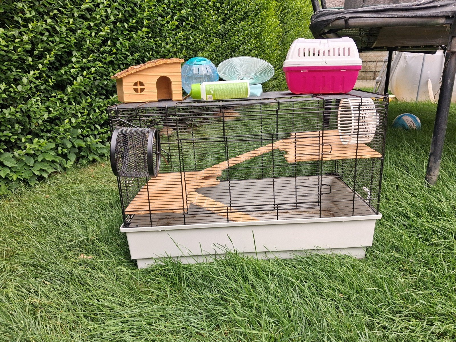 Hamsterkooi, Ophalen, Gebruikt, Kooi, Hamster