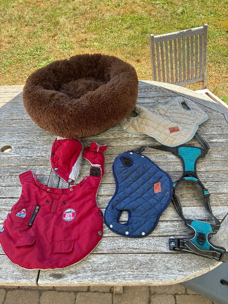 Lot pour chiot ou petit chien (panier harnais manteaux), Animaux & Accessoires, Autres marques, Enlèvement ou Envoi, Comme neuf