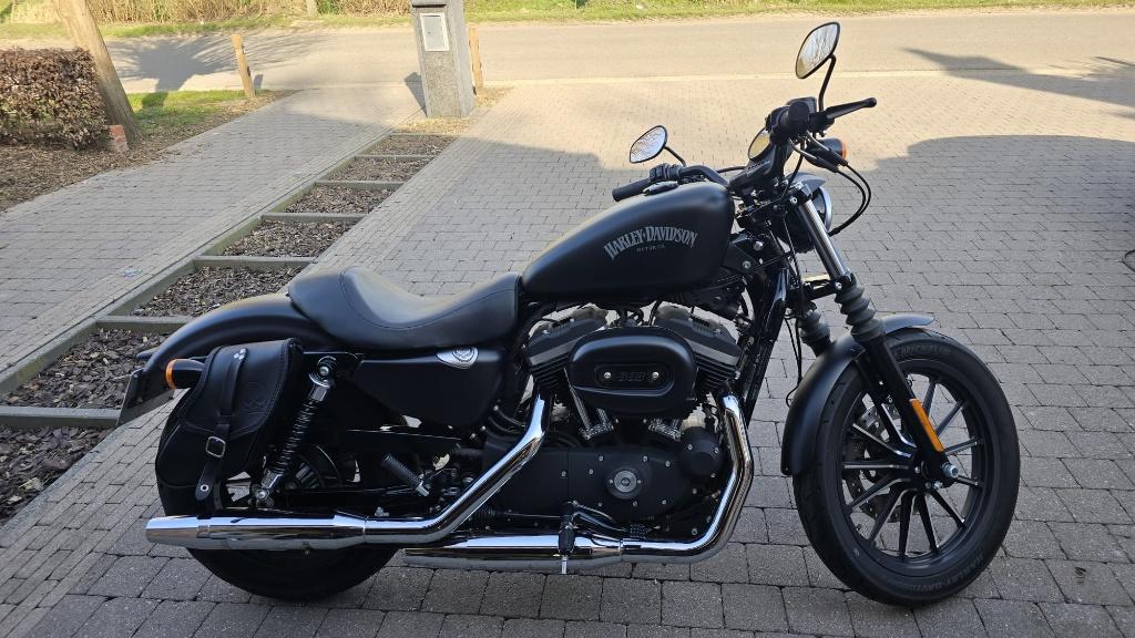 Harley Davidson Sportster 883 Iron Black, Permis Moto A, Occasion, Plus de 35 kW, 2 cylindres