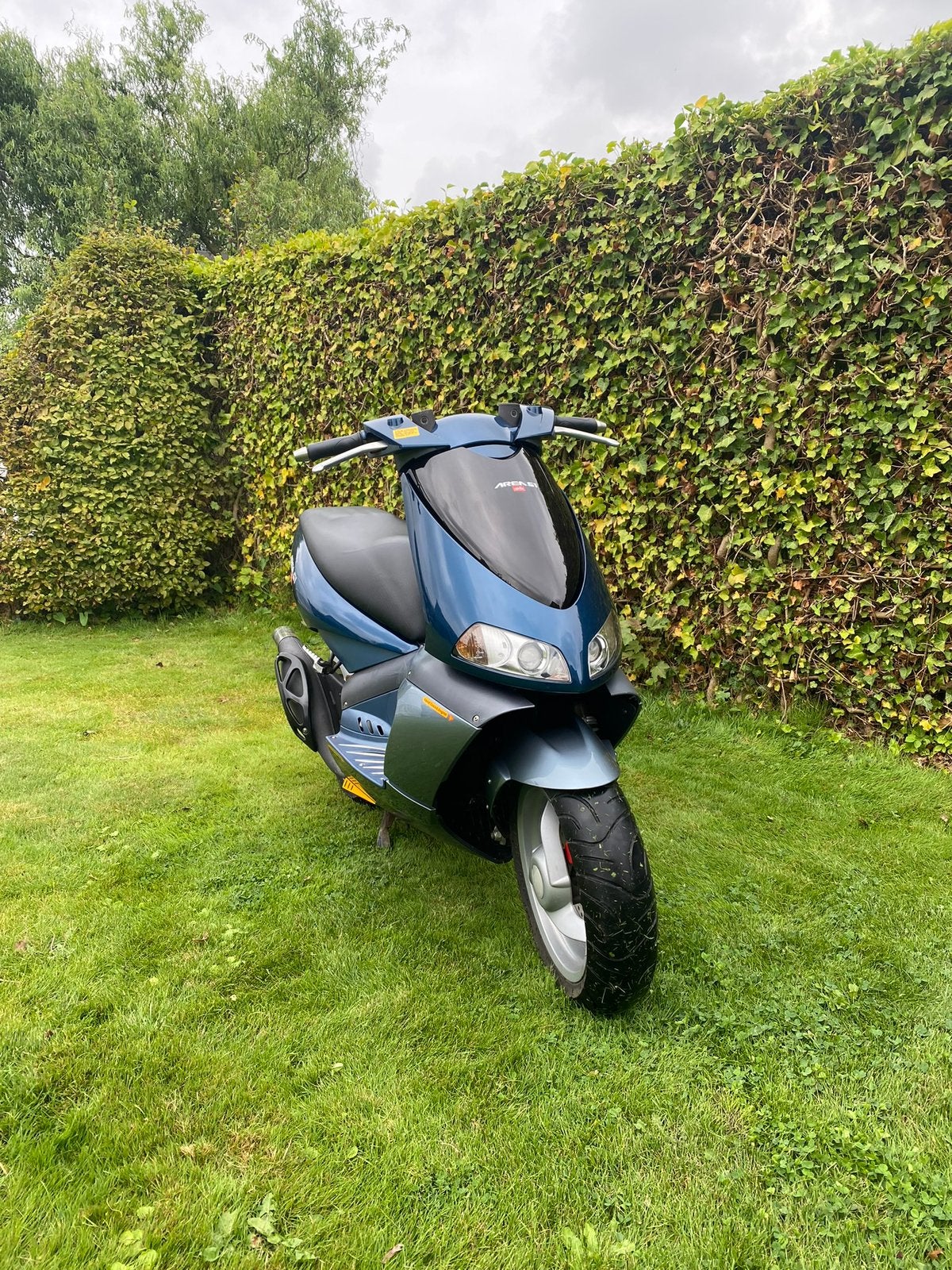 Zone 51 d'Aprilia, Neuf, Classe B (45 km/h), Enlèvement, Deux-temps