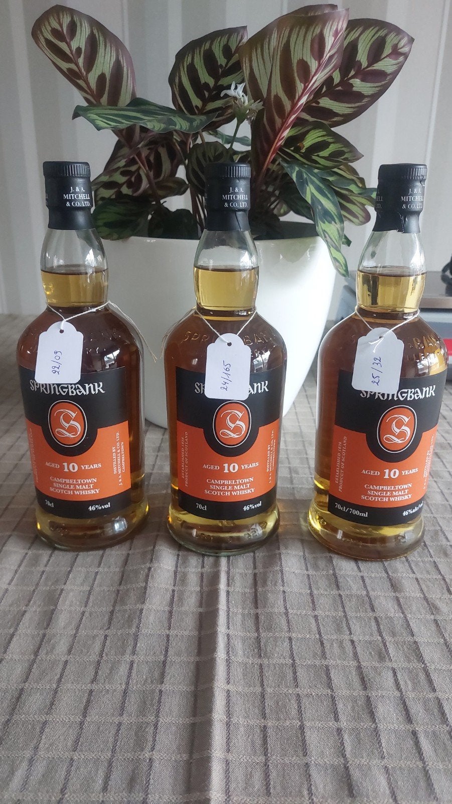 Springbank 10 Years Old – 3-Bottle Batch Variatie Set, Collections, Vins, Enlèvement ou Envoi