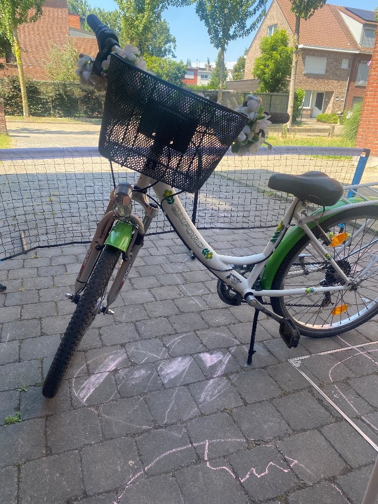 meisjesfiets, Ophalen, Gebruikt, 24 inch, Oxford