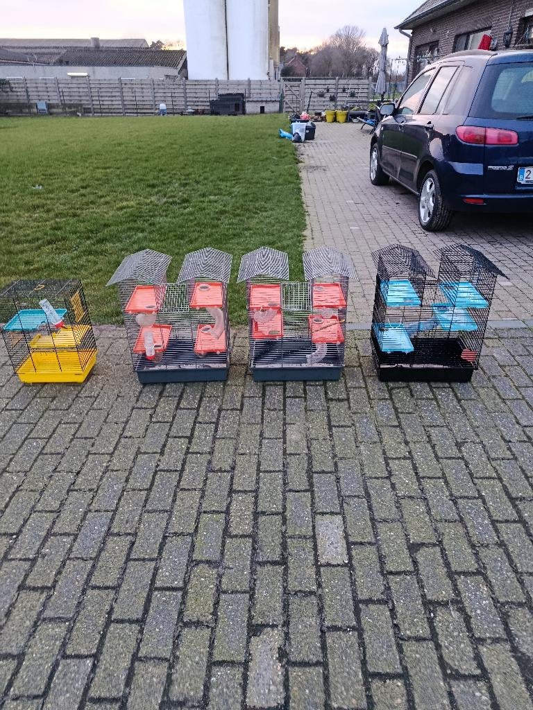 Knaagdier kooien, Dieren en Toebehoren, Ophalen, Zo goed als nieuw, Kooi, Muis