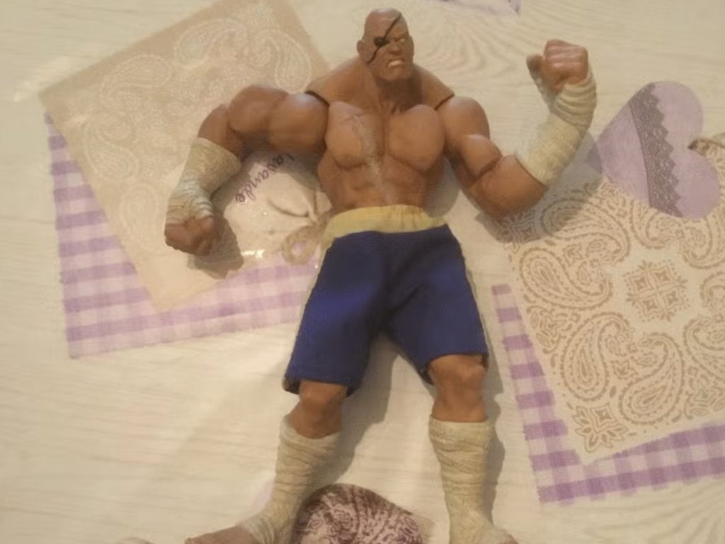 Sagat Street fighter, Ophalen