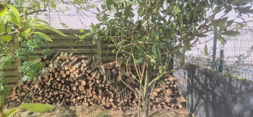 Mooi brandhout te koop, Ophalen