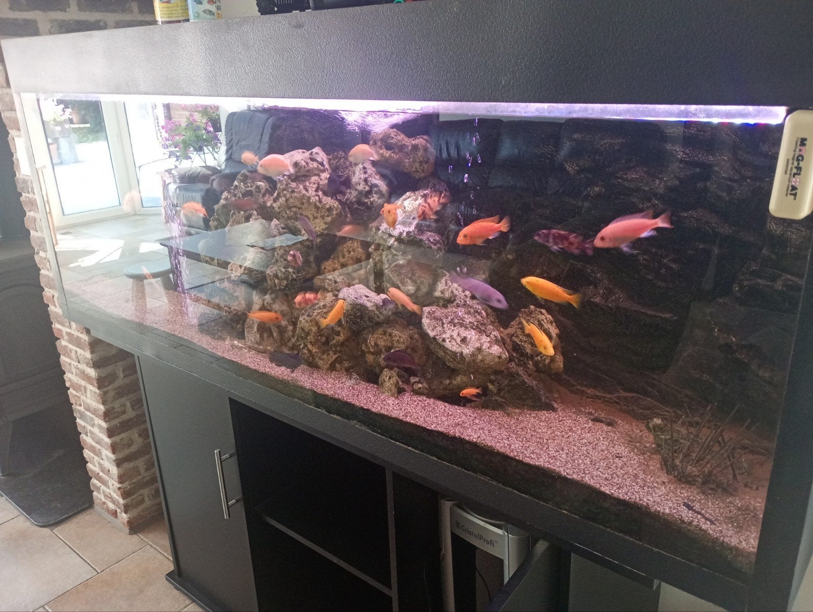Aquarium, Ophalen of Verzenden