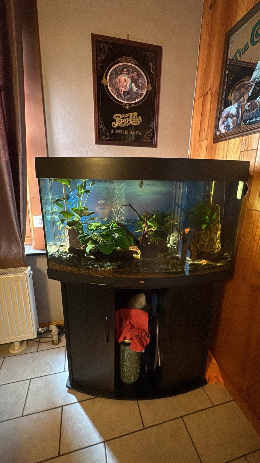 Juwel 180 litre bombé vide, Pompe, Aquarium vide, Enlèvement, Utilisé