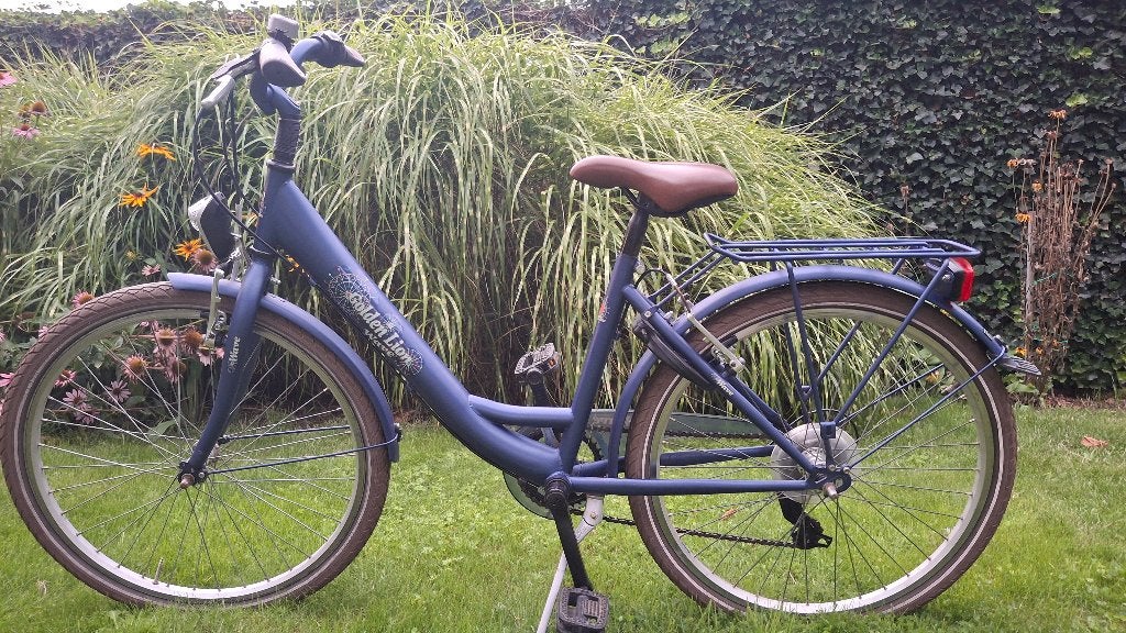 Meisjesfiets 24 inch, Ophalen, Velgrem, Versnellingen, Golden lion