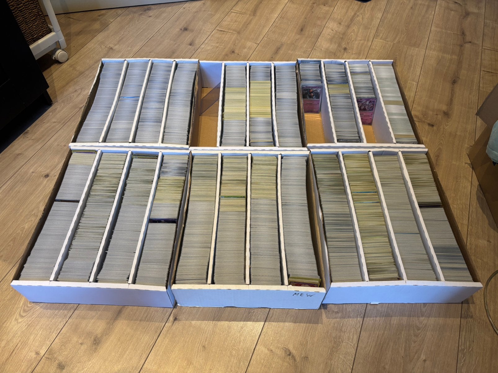 Groot bulk lot pokemon, Enlèvement