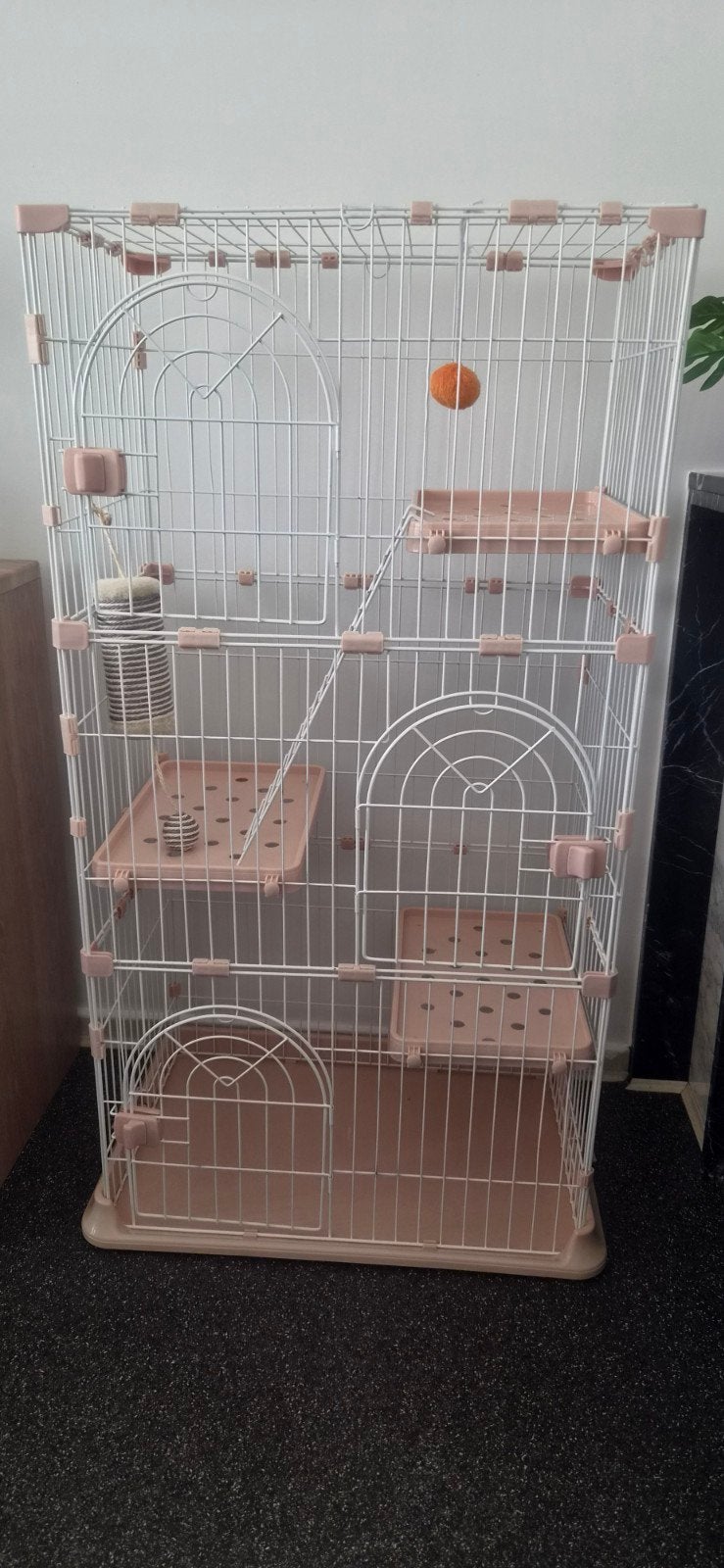 Lot complet pour chaton, cage,arbre à chat, sac transport, Animaux & Accessoires, Enlèvement