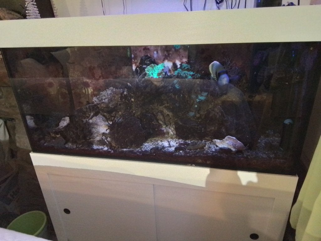 Aquarium, Enlèvement, Comme neuf