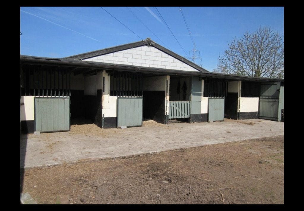 Zoersel 3 stallen weides paddock eigen beheer, Dieren en Toebehoren, Stalling en Weidegang, Opfok, Stalling, Weidegang, 2 of 3 paarden of pony's