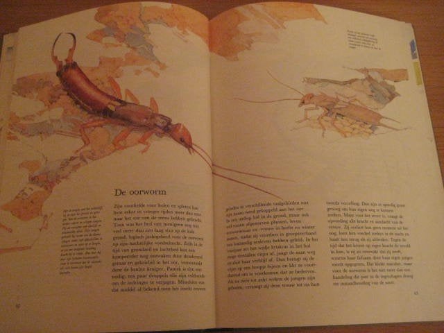 Leerrijk dierenboek ”Dieren in en om het huis”, Boeken, Dieren en Huisdieren, Zomer & Keuning - EDE, Ophalen of Verzenden, Zo goed als nieuw