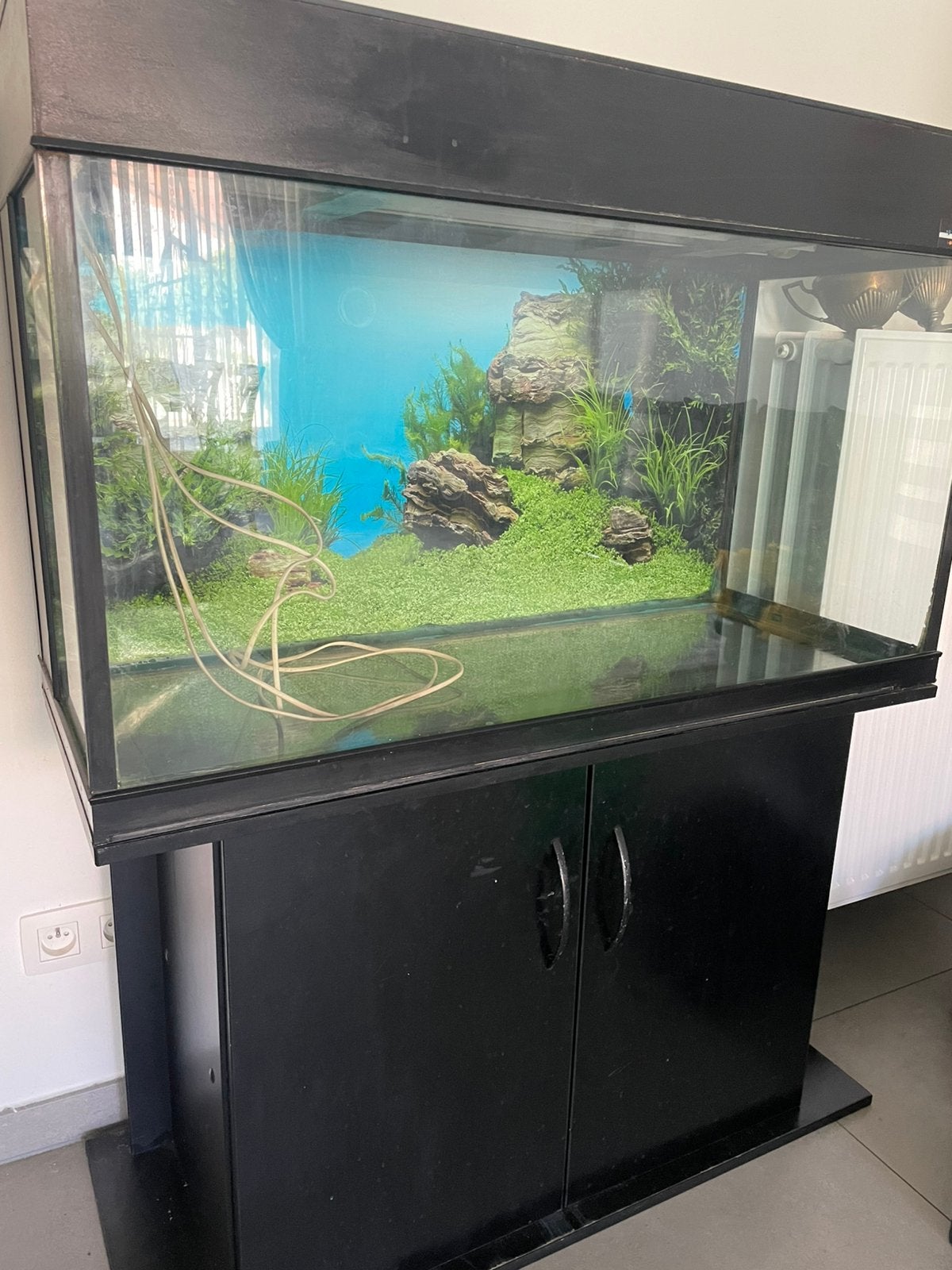 Aquarium gratis, Enlèvement, Utilisé