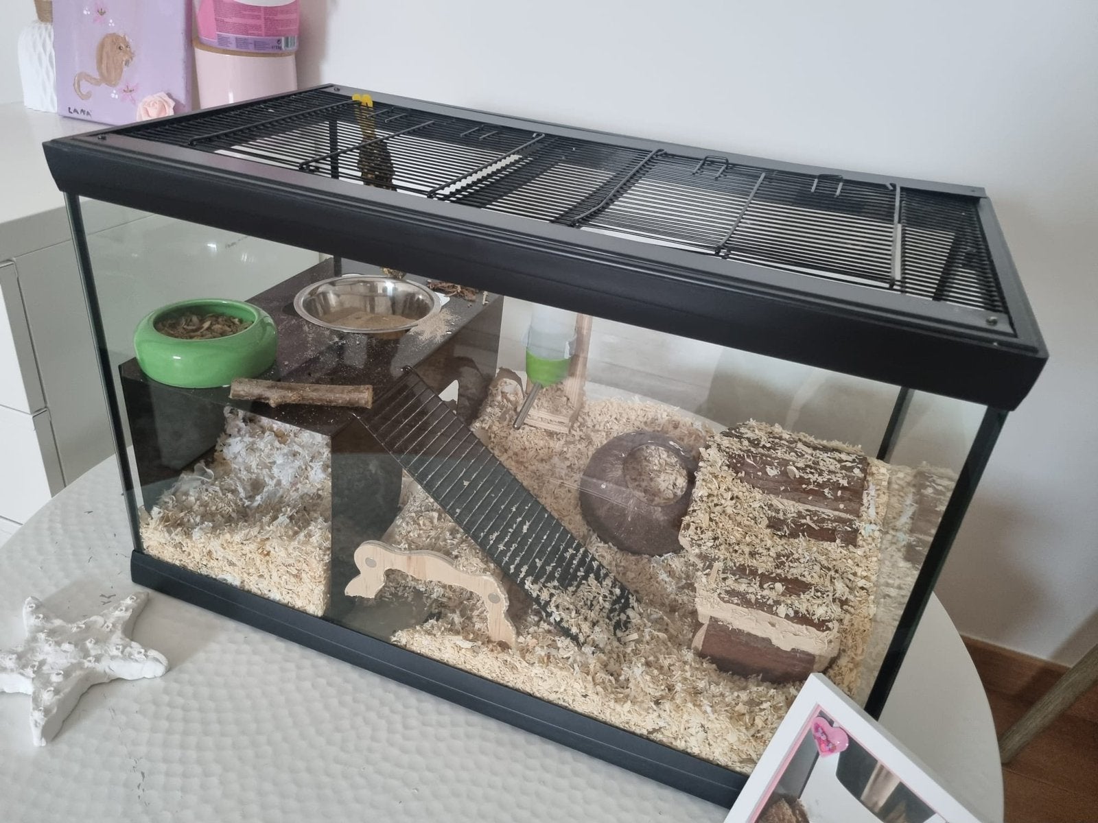 Knaagdierterrarium voor gerbil of andere, Dieren en Toebehoren, Ophalen, Zo goed als nieuw