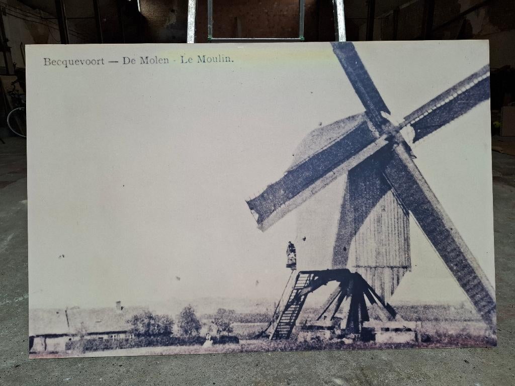 Afdruk postkaarten op plaat Bekkevoort, Verzamelen, Ophalen