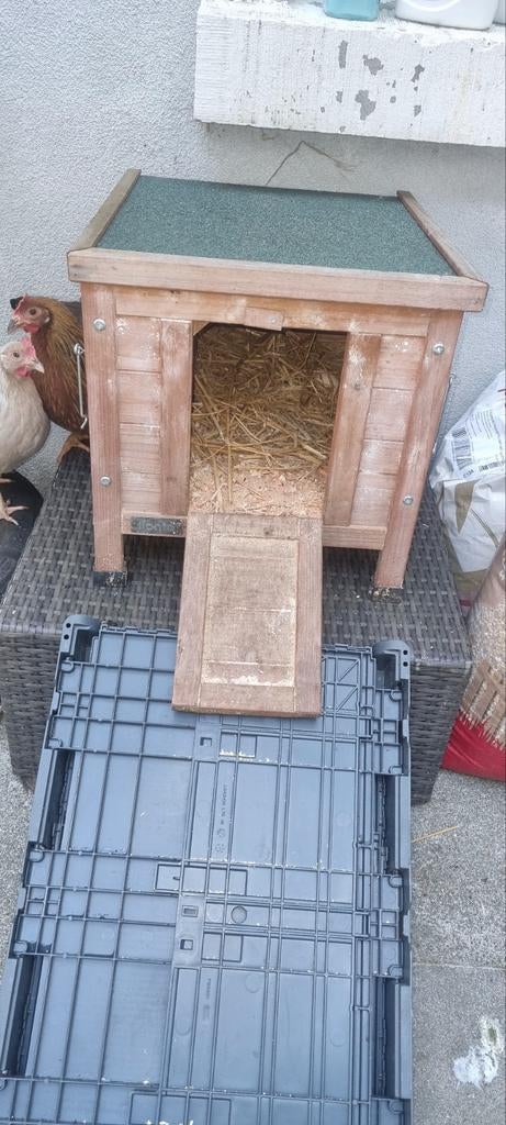 Poule pondeuse avec accessoires, Animaux & Accessoires, Maisons pour chiens