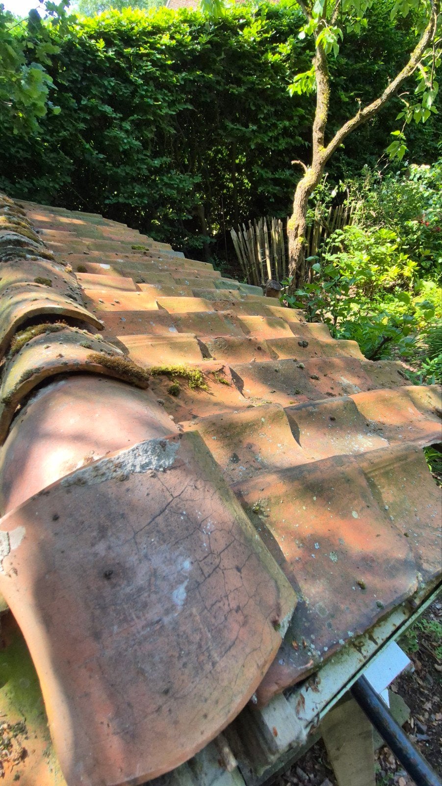 Boomse pannen 200 stuks en 18 nokken, Doe-het-zelf en Bouw, Ophalen, Gebruikt, Steen of Klei, 15 m² of meer