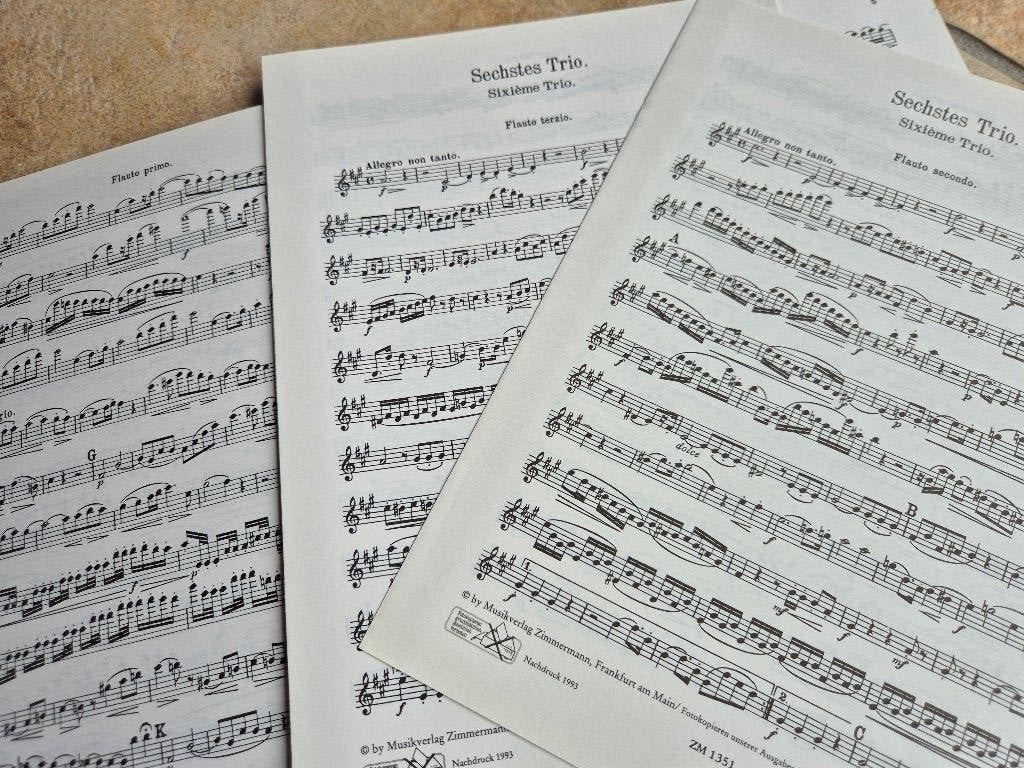 Bladmuziek 3 of meer fluiten/altblokfluiten 10 x, Klassiek, Overige soorten, Ophalen of Verzenden, Zo goed als nieuw