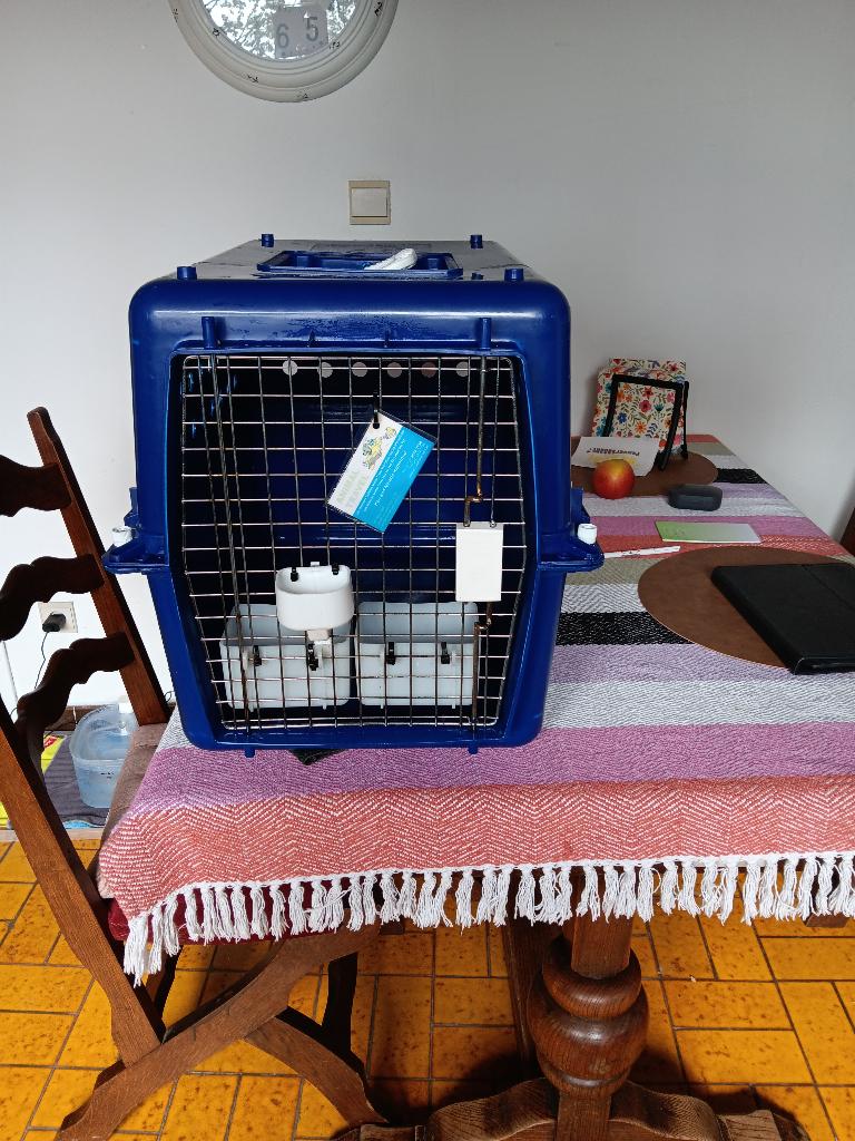 Reisbench, Dieren en Toebehoren, Transportboxen, Ophalen, Gebruikt