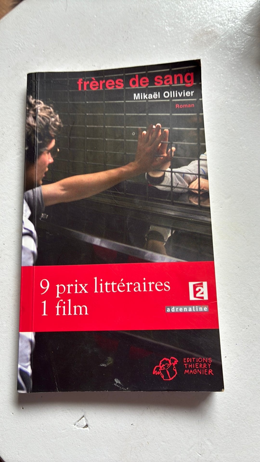 freres de sang, Livres, Enlèvement, Utilisé, Secondaire, Français