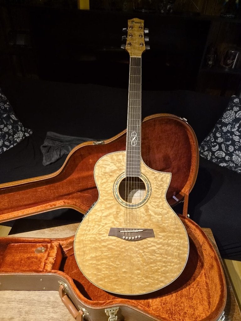 Ibanez akoestische gitaar + hardcase, Musique & Instruments, Enlèvement, Utilisé, Guitare classique ou espagnole, Avec valise