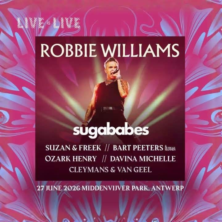 VIP Experience ticket Robbie Williams 27/06/2026, Une personne