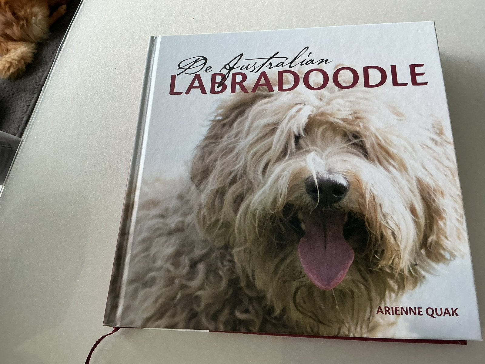 Boek labradoodle, Enlèvement ou Envoi, Comme neuf