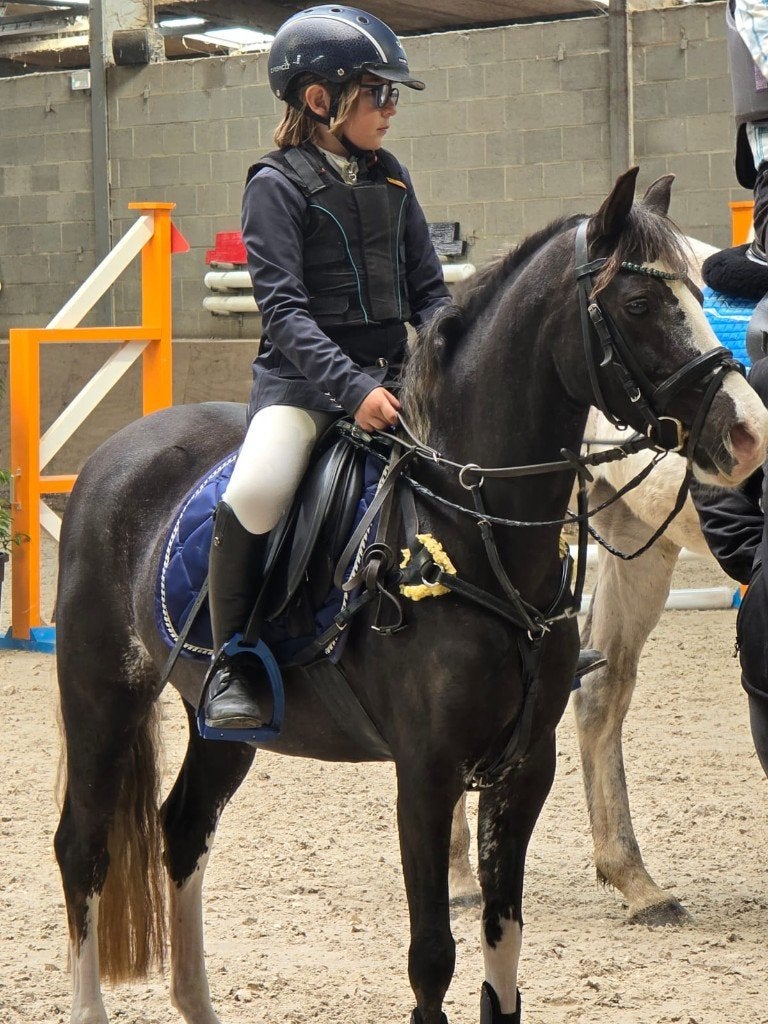 B pony te koop, Dieren en Toebehoren, B, B pony (1.17m tot 1.27m), 11 jaar of ouder, Merrie