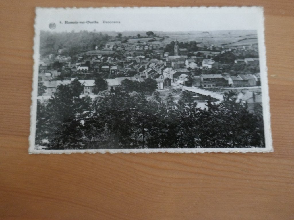 hamoir s/ourthe panorama, Ophalen of Verzenden, Gelopen, Luik