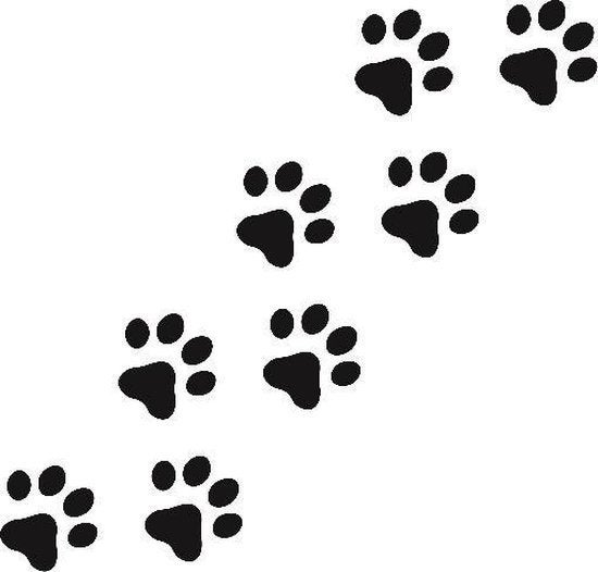 Oppas aan huis voor je kat/hond, Enlèvement, Neuf