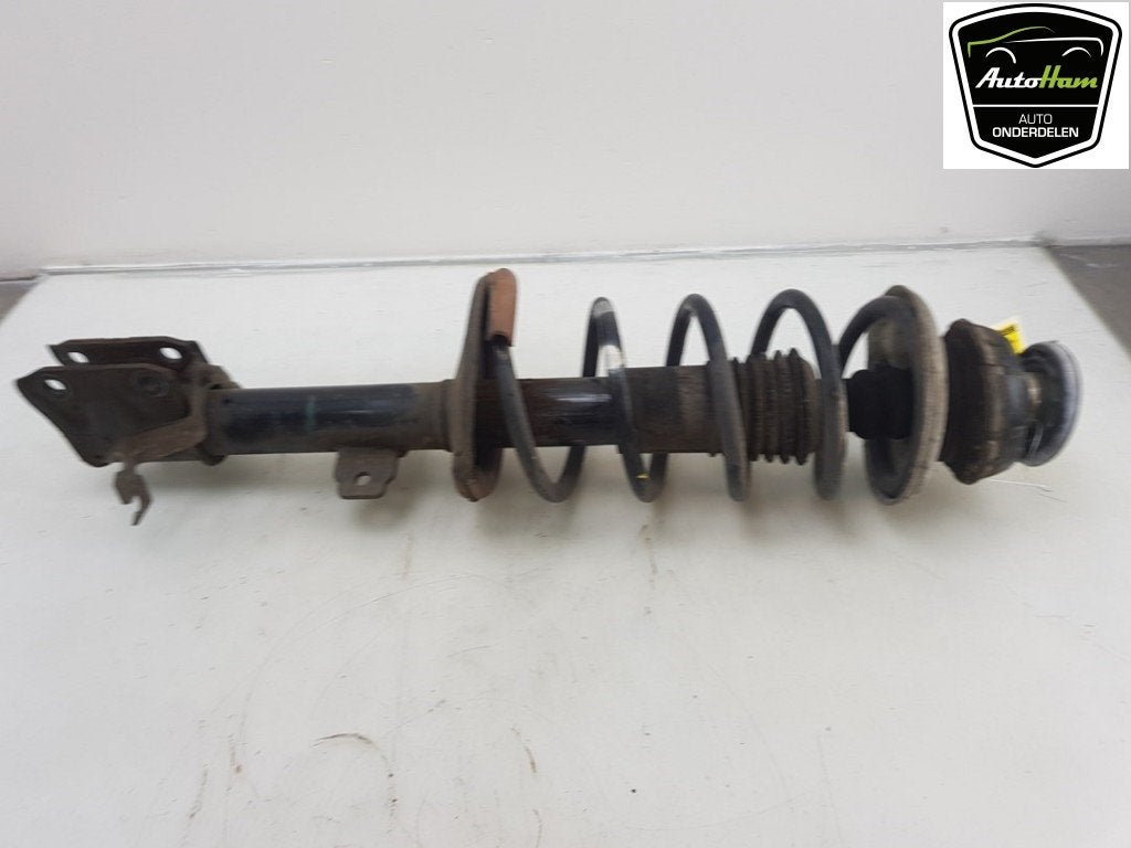 SCHOKBREKER LINKS VOOR Dacia Duster (HS) (01-2009/01-2018), Dacia, Gebruikt, Renault Deutschland AG, Peter-Huppertz-Straße 5
51063  Köln, DE