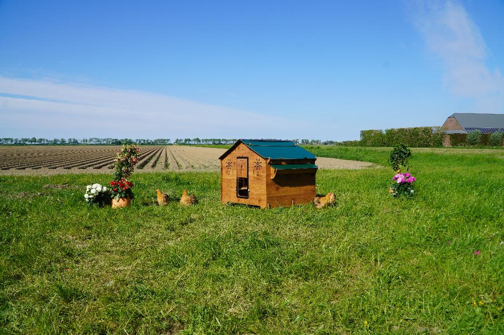 Trespa Kippenhok Cucciolotta | Farm Evolution 3XL, Enlèvement ou Envoi