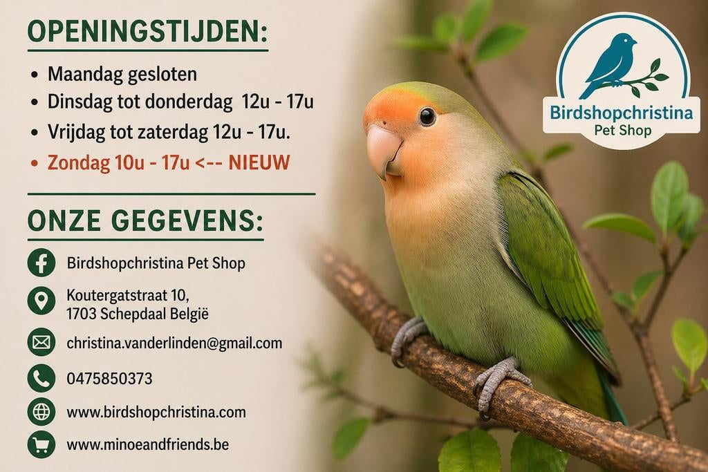 Nieuw Binnen - Voorraad Aangevuld, Ophalen