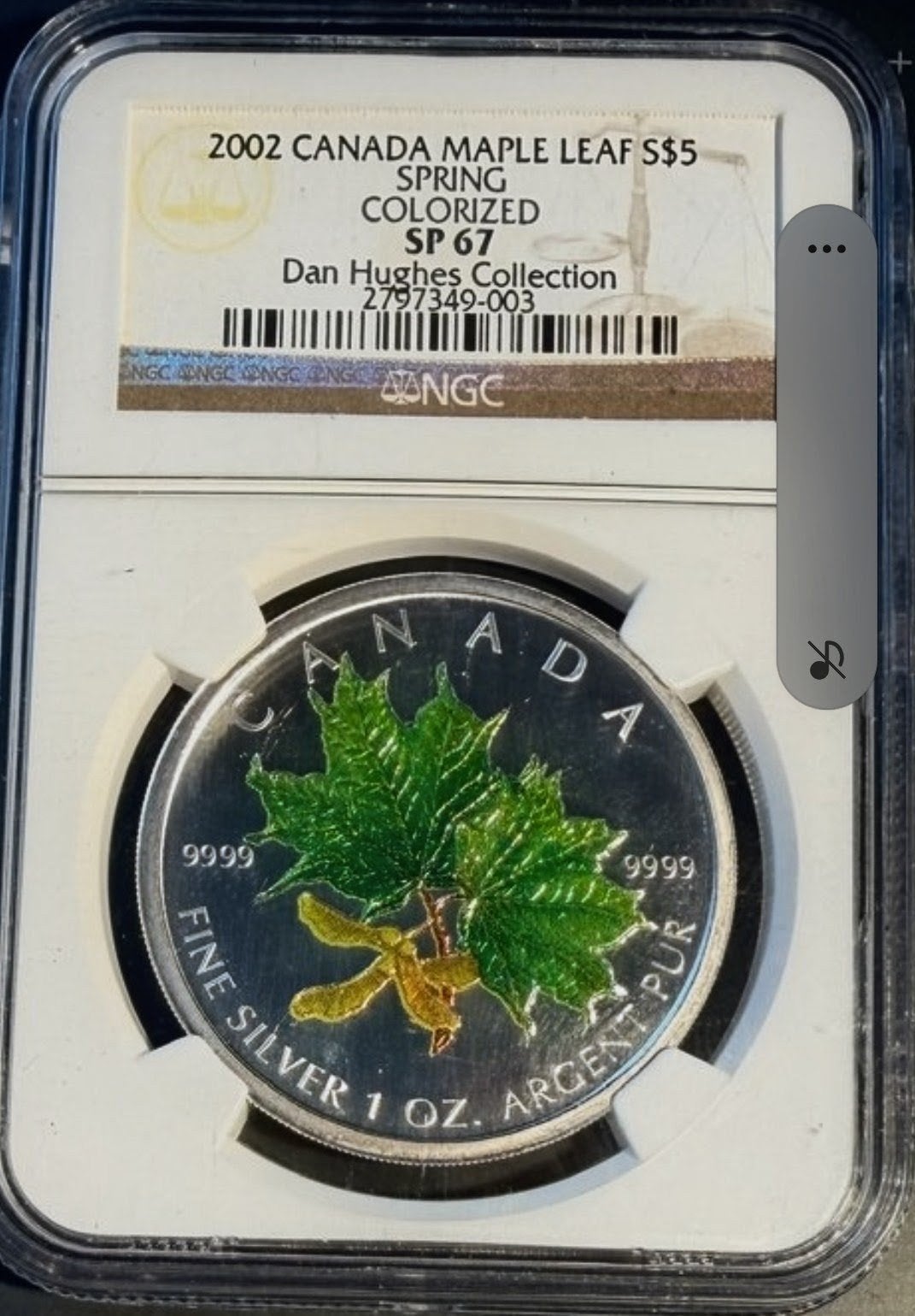 ZELDZAAM! 2002 Canada Silver Maple Leaf "Spring", Postzegels en Munten, Ophalen of Verzenden, Zilver