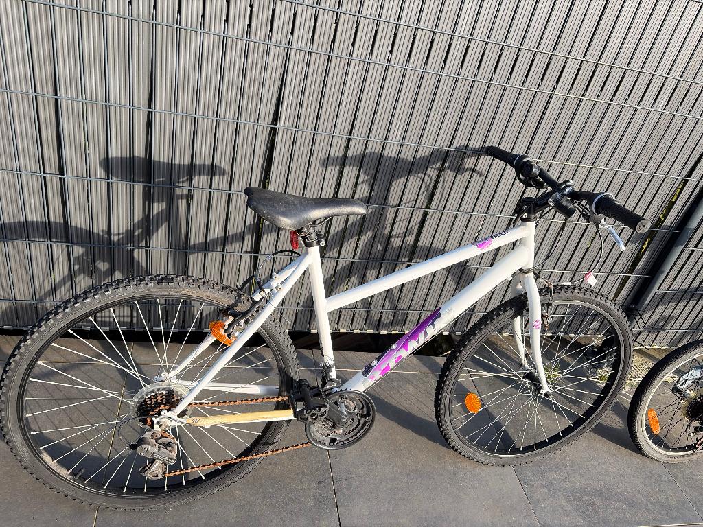 Vélo femme à vendre, Enlèvement, Utilisé, Frein à disque, Autres marques