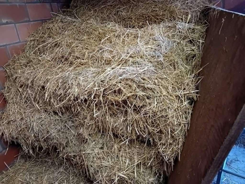 te koop halve pak   hooi, Dieren en Toebehoren, Meerdere dieren, 0 tot 2 jaar