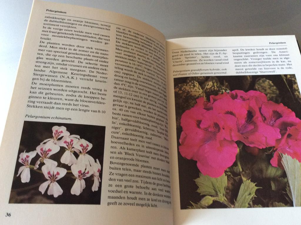 12 délige bloemen en planten encyclopedie, Boeken, Ophalen, Gelezen, Tuinieren en Tuinplanten