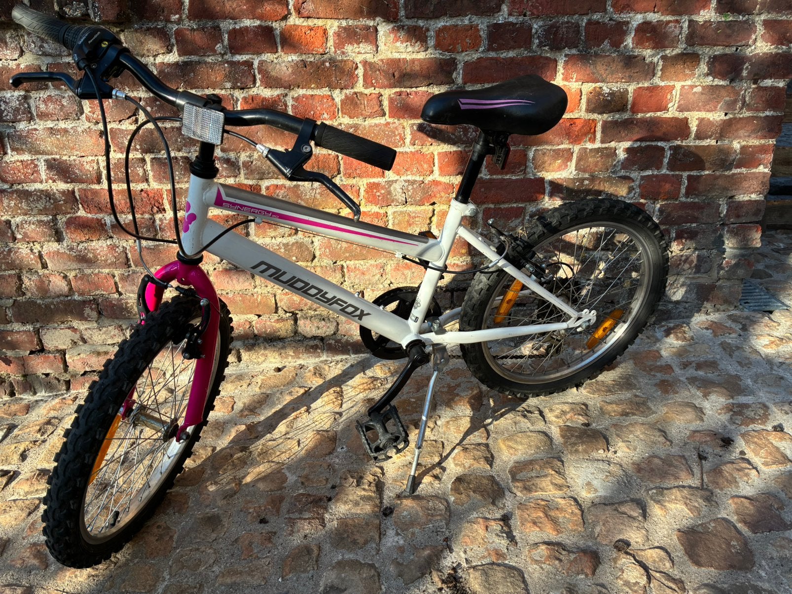 VTT 20 pouces, Vitesses, Frein sur jante, Utilisé, Muddyfox