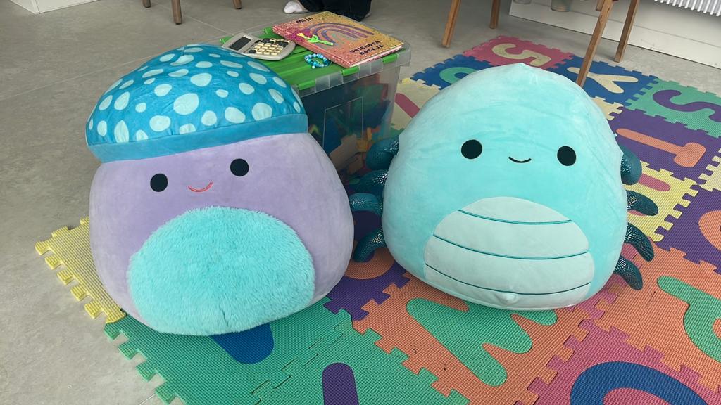Squishmallow, Kinderen en Baby's, Speelgoed | Buiten | Opblaasfiguren, Ophalen, Zo goed als nieuw