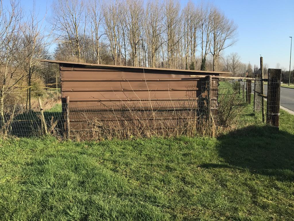 Paardenstal kleinvee stal ezel geit schaap op weide, Stalling